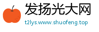 发扬光大网